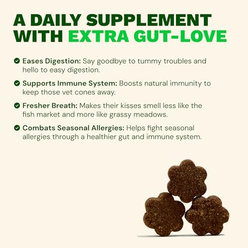 Get Joy Digestion Chews, Gut Health Supplement for Dogs, Vet Recommended Soft Daily Digestive Health & Immune Support with Prebiotics, Probiotics & Postbiotics, Made in USA, 90 Count