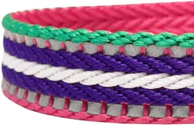 Blueberry Pet Dog Leash - Reflective, Strong & Comfortable | Pinch Collar for Dogs & Puppy Essentials | Heavy Duty Dog Leashes for Large & Medium Size | Gentle Leader Products