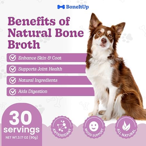 BoneItUp Dog Bone Broth Powder - Made with Real Beef & Chicken, Nutritious & Hydrating Dog Bone Broth Topper for Picky Eaters - Healthy Joints, Coat, Digestion Support (30 Servings)