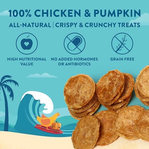 Chicken Pumpkin Chips Dog Treats, 2-Ingredient, 3oz