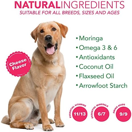 6 in 1 Superfood Dog Supplement with Organic Moringa | Treats for Immune System and Overall Health | Pets All Natural Multivitamins - 90 Chews