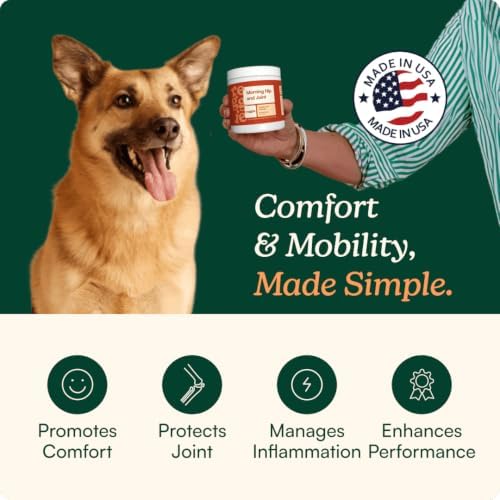 Reggie Hip & Joint Supplements for Dogs | Glucosamine, MSM & Chondroitin for Mobility, Cartilage & Pain Relief | Natural Dog Joint Support Chews | Vet-Approved & Made in USA | 60 Soft Chews