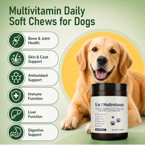 Multivitamin Daily Soft Chews for Dog, 5 in 1 multivitamin for Hip & Joint, Heart Health, Skin & Coat, Gut & Immune Support, with Probiotics, Vitamin A/D3/E, Beef Flavor, 60 Chews (1)