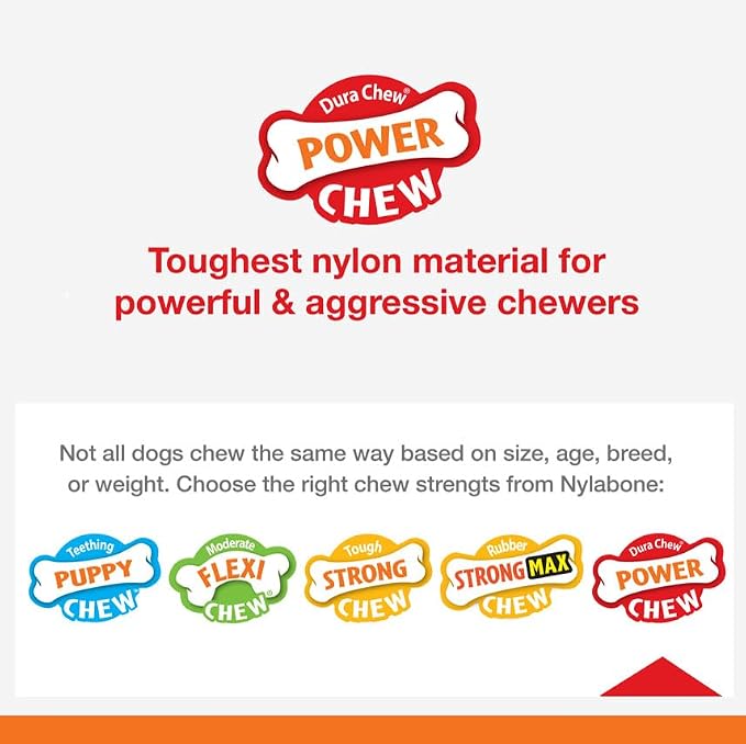 Nylabone Power Chew Dental Dinosaur Dog Chew Toy, Chicken Flavor, Large | Large breeds, durable dog toys for aggressive chewers, long lasting, discourages destructive chewing, for dogs up to 50 lbs