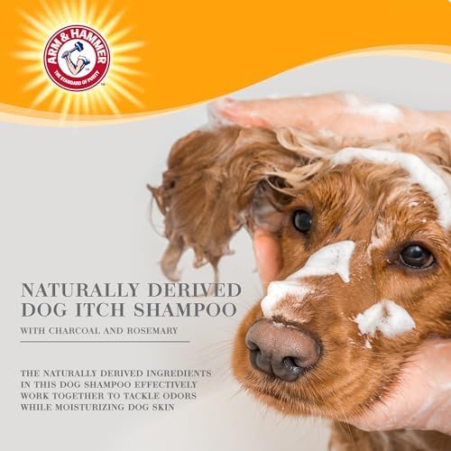 Arm & Hammer Ultra Fresh Charcoal Dog Shampoo, Rosemary, 24 Oz | Deep cleansing formula, baking soda deodorizing, eucalyptus mint scent, pump bottle, for daily grooming