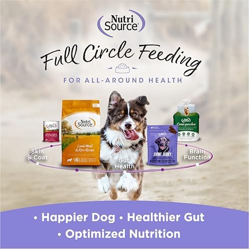 NutriSource AmpliFull Turkey Flavor Calming Dog Soft Chews, 1-Pack, 70 Chews