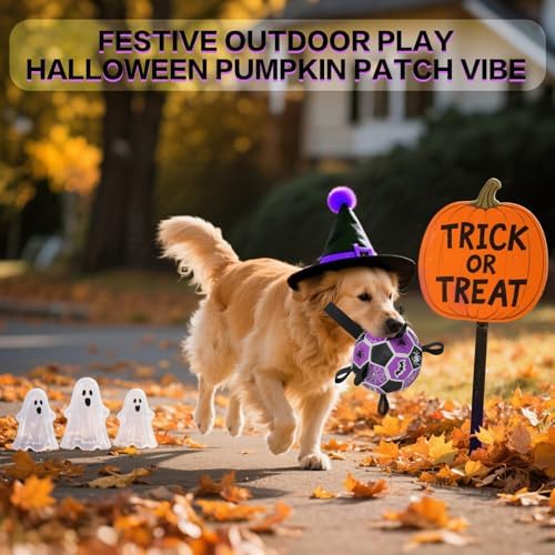 Dog Toys Balls, Dog Soccer Ball with Straps, Dog Birthday Gifts, Durable Balls for Small Medium Pet, Puppy Outdoor Toy, Pet Training Soccer Ball, World Cup Soccer (6 Inch) (Spider, Medium)