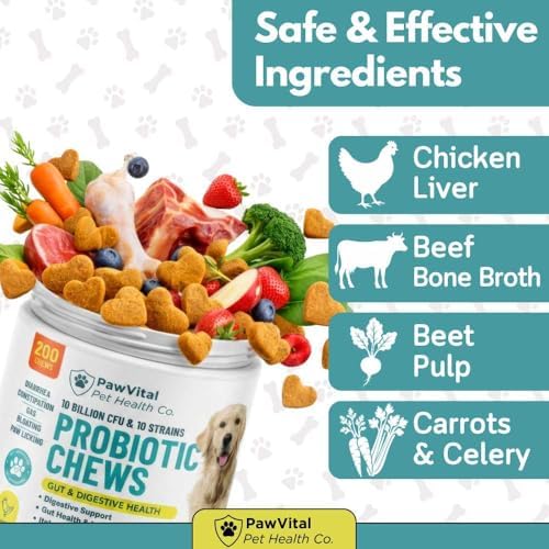 Dog Probiotic Chews for Digestive Health – Probiotics for Dogs with 10 Billion CFU, Prebiotics, Digestive Enzymes – Gut Health, Yeast, Itchy Skin & Itchy Ears – Diarrhea & Constipation – 200 Chews