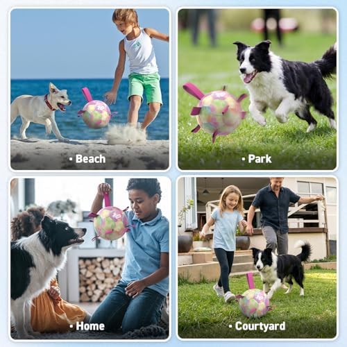 QDAN Dog Balls, Dog Herding Ball, 8 Inch Large Dog Soccer Ball with Strap | Durable Outdoor Dog Toys for 30-90lbs Medium Large Dogs, Interactive Pet Toys Tug of War, Pet Birthday Gifts,Gradient Rainbow