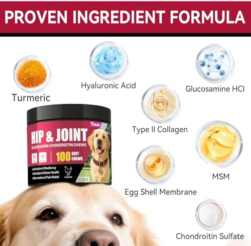 Hip and Joint Supplement for Dogs, Advanced Glucosamine for Dogs