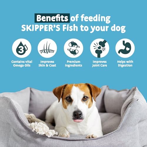 SKIPPER'S Dogs Fish Skin Flatties - Air Dried Grain Free Dog Treats, Great for Teeth, Long Lasting Dog Chews, Remove Plaque, Source of Omega 3, Naturally Low in Fat | 9Oz