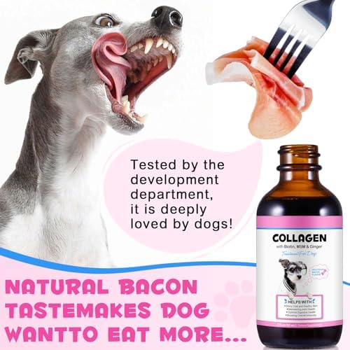 Collagen Drops for Dogs 60ml - Joint Support, Skin & Coat Health with Biotin & MSM - Supports Smooth Digestion, Delicious Bacon Flavor