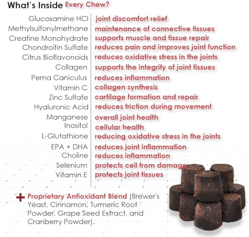 ReMATRIX Joint Support Supplement for Dogs - Glucosamine, Chondroitin, MSM, Omega-3 - Hip and Joint Pain Relief and Support for Dogs - Made in USA - 240 Soft Chews