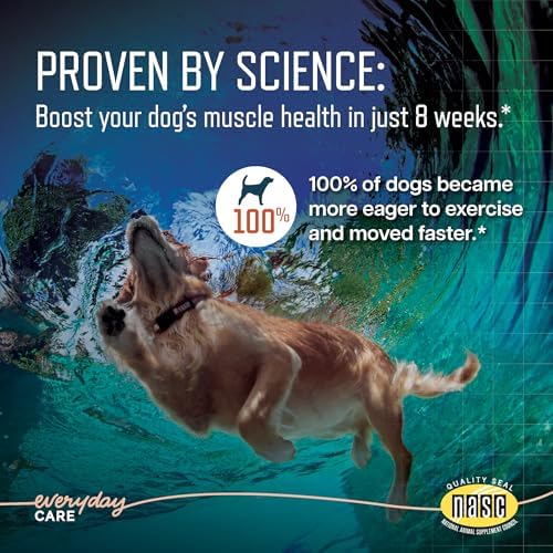 URSOLYX Soft Chews for Dogs, Large Breed, Muscle Support, 60 Count