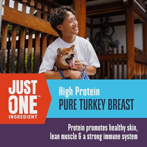 Whole Life Just One Turkey Freeze-Dried Dog Treats - 2.5 oz