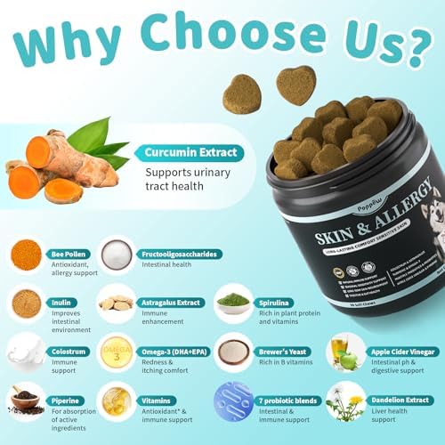 Dog Allergy Relief Soft Chews - Skin & Gut Health, Chicken, 90 Ct