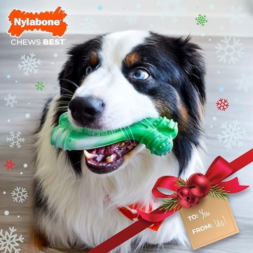 Nylabone Power Chew Holiday Curvy Dental Bone Dog Chew Toy, Large | Wintergreen flavor, durable dog toys for aggressive chewers, long lasting, dog toys for large dogs up to 50 lbs