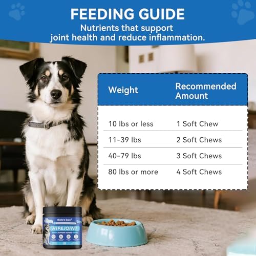 Biotic’s Gain Hip & Joint Soft Chews for Dogs | Glucosamine, MSM, Chondroitin & Turmeric | Hemp Seed Oil for Mobility | Tasty Chews for Senior & Active Dogs (120, Hip & Joint Care)