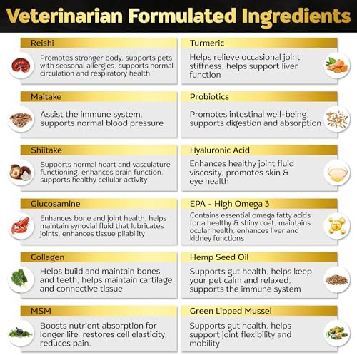 Hip and Joint Chews for Dogs + Skin and Coat Supplement - Dog Joint Pain Relief Treats - Glucosamine, Chondroitin, MSM, Hemp Oil, Turmeric, Omega 3 for Dogs, Mobility Dog Health Supplies