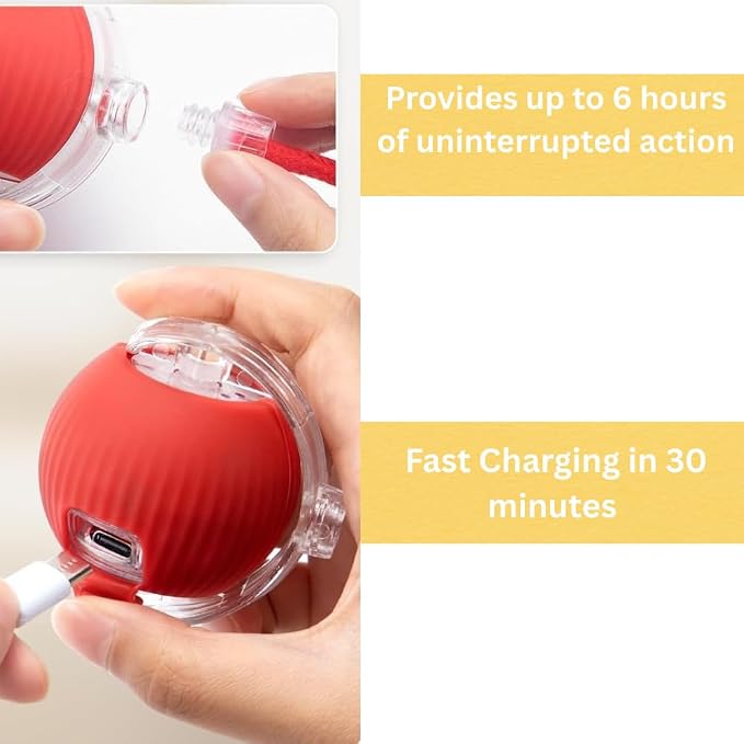 Interactive Cat Toy Ball – Automatic Self-Moving, Motion-Activated, USB-Rechargeable, Quiet LED Chase Modes, Indoor Exercise & Enrichment for Bored Cats & Kittens