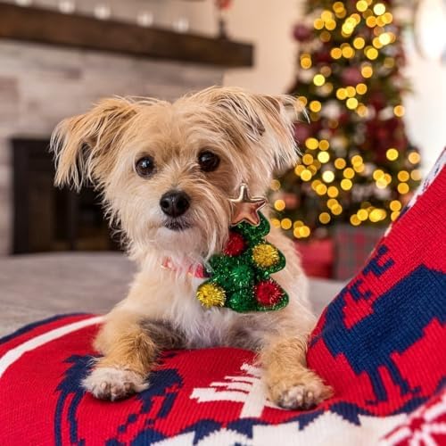 Blueberry Pet Small Christmas Tree Dog Collar – Adjustable 12"-16" Neck, Eco-Friendly High-Density Polyester, Festive Glitter Fabric