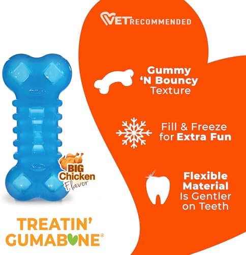 Nylabone Flexi Chew Treatin' Gumabone Dog Chew Toy, Chicken Flavor, Medium | Fill with treats & spreads, medium breeds, dog enrichment toys, freezable, gentle on teeth, bouncy, for dogs up to 35 lbs