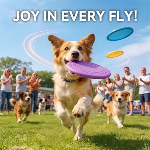 Dog Frisbee, Floating, 7in, 3-Pack