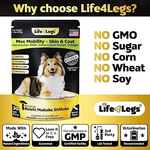 Soft Chews Hip and Joint Supplement for Dogs - Dog Joint Pain Relief Treats - Glucosamine, Chondroitin, Turmeric - Mobility Supplement (Bacon - 30 Soft Chews)