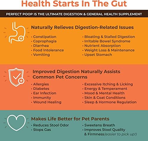 Bernie's Perfect Poop 4-in-1 Digestion Supplement, 2 Flavor Bundle, 12.8 oz
