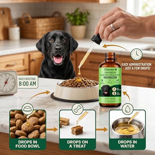 Clover Collagen for Dogs, Triple Hydrolyzed Liquid Collagen Peptides with Glucosamine and Hyaluronic Acid, Joint Mobility Support, Skin and Coat Supplement Drops (1PC)