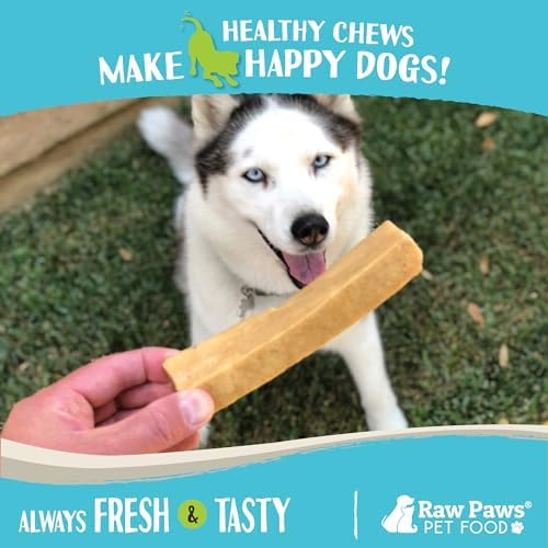 Raw Paws Himalayan Yak Chews for Dogs, Large (10-Count) - Hard Yak Cheese