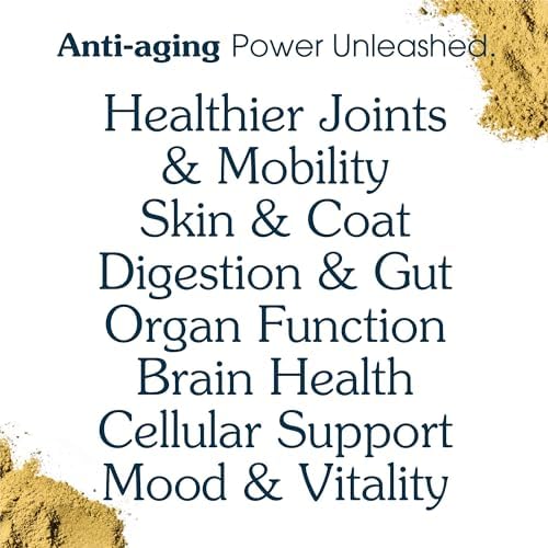 Senior Dog Powder Supplement & Food Topper - 63 Ingredients - 120 Scoops | For Joint, Gut, Immune & Brain Health, Daily Longevity Multivitamin with Glucosamine, Probiotics, and Fish Oil