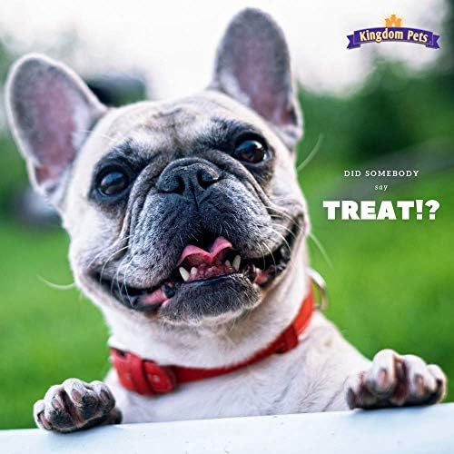 Duck Jerky & Sweet Potato Dog Treats with Only 4 Ingredients and No Fillers, 3 Pound Bag