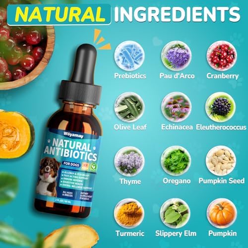 Woyamay Antibiotics for Dogs, Natural Dog Antibiotics for Allergy Relief