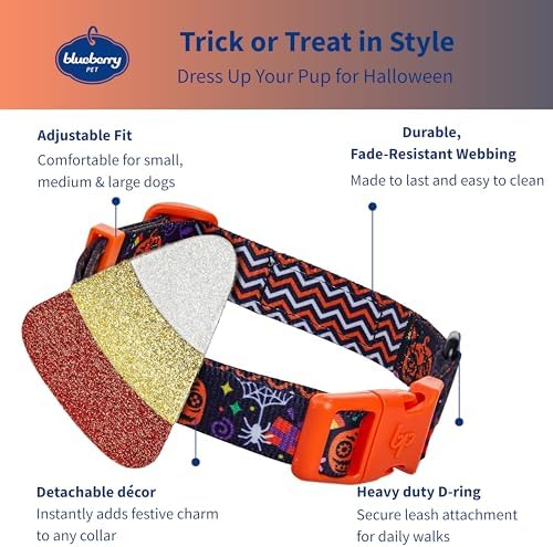 Blueberry Pet Halloween Candy Cane Adjustable Dog Collar with Detachable Glitter Accessory, Large, Neck 18"-26"