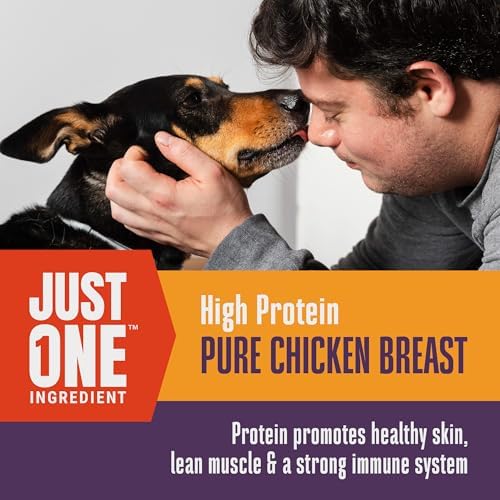 Whole Life Just One Chicken Freeze-Dried Dog Treats - 21 oz