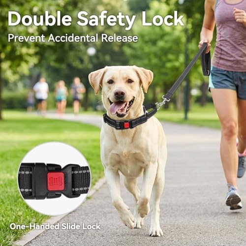 Joytale Martingale Collar for Dogs, Escape Proof No Pull, Black, M