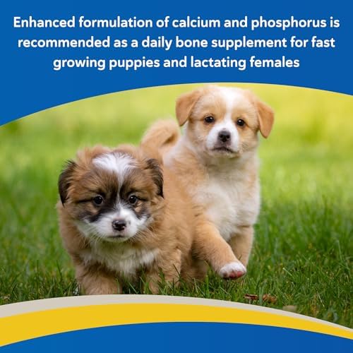 Doc Roy's Healthy Bones Calcium & Phosphorus Chews for Dogs & Cats, 100ct