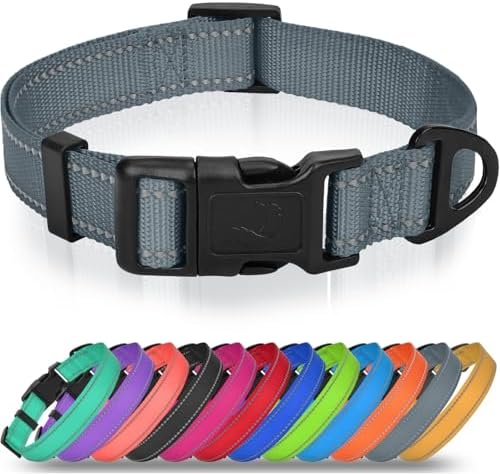 Joytale Feather-Light Dog Collar for Small Dogs & Puppies, 5/8", Gray