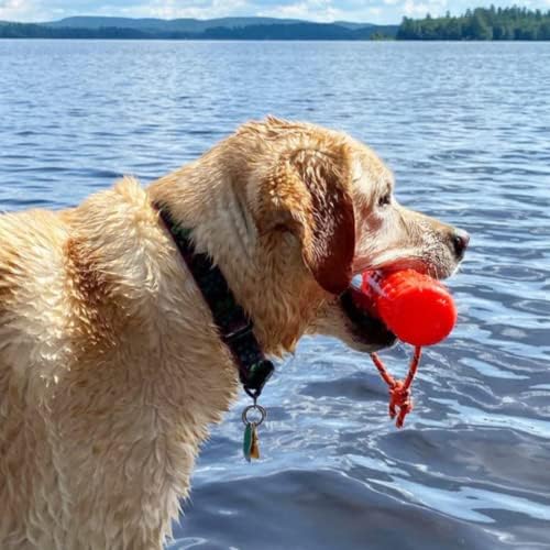 Katie's Bumpers Original Bumper for Med.&Lg Dogs the Best Fetching and Dock Divind Dog Bumper. Made in the USA. (Orange)