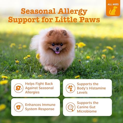 Zesty Paws Allergy Immune Bites - Dog Allergy Chews, Dog Probiotics for Itchy Skin and Ears, Lamb, Mini, 90ct (Pack of 3)