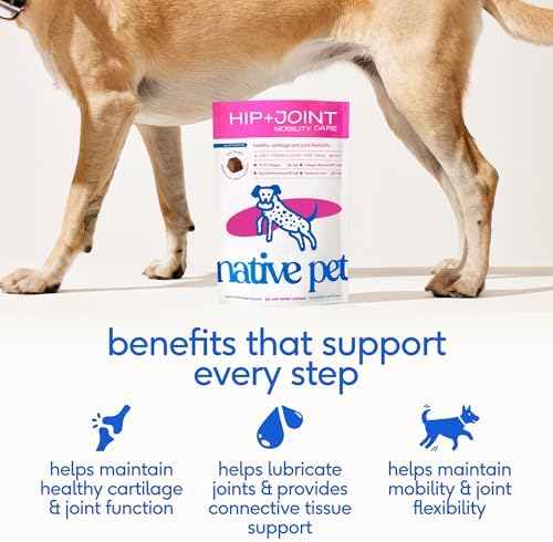 Native Pet Mobility Care - Hip & Joint Supplement for Dogs - UC-II Collagen, Egg Shell Membrane & Hyaluronic Acid - Dog Joint Supplement Chews Supports Cartilage, Mobility & Flexibility - 60 Chews