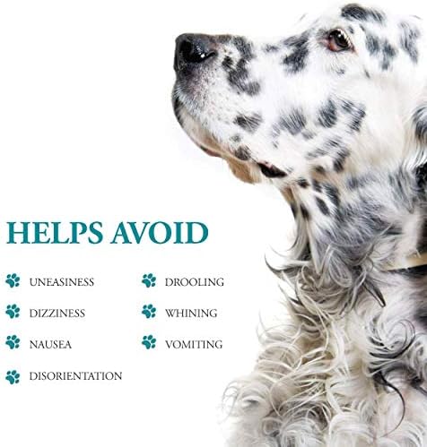 Anti-Motion Sickness and Nausea Relief for Small Breed Dogs, Relief for Disorientation and Dizziness, 10 Tablets