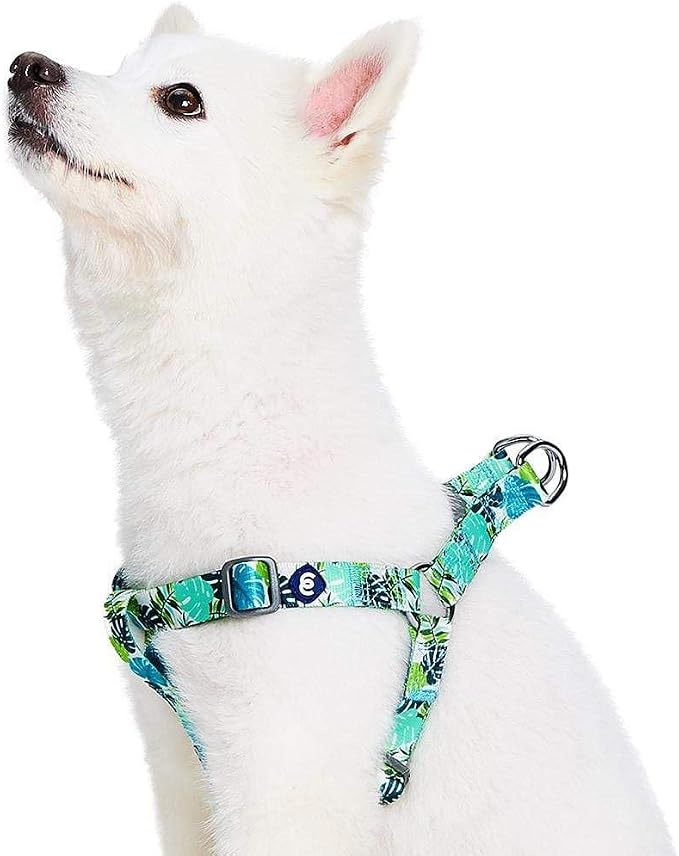 Blueberry Pet Essentials Step-in Spring Scent Inspired Garden Floral Dog Harness in Light Purple, Chest Girth 16.5" - 21.5", Small, Adjustable Harnesses for Dogs
