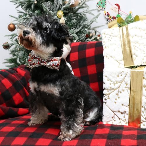 Lionet Paws Christmas Dog Bowtie Collar - Cute Cotton Adjustable Winter Dog Collar with Bowtie for Small Medium Large Dog Girl Boy Gift, XL, Neck 16-26in
