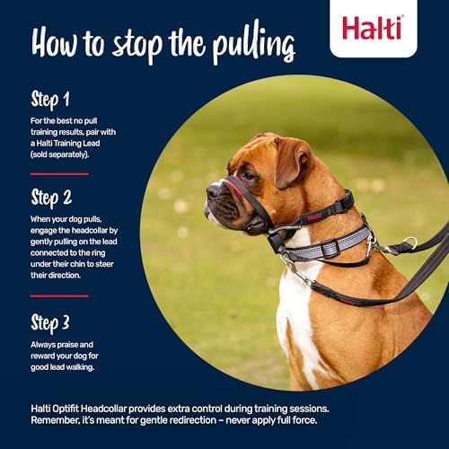 Halti Optifit Headcollar for Dogs | Size S