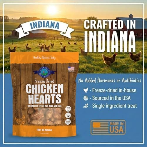 Shepherd Boy Farms Freeze Dried Chicken Hearts for Dogs & Cats - 3oz