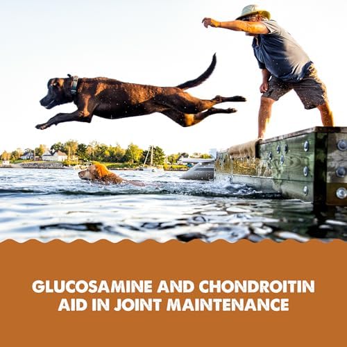 GRIZZLY PET PRODUCTS Joint Aid Liquid Hip and Joint Health Supplement Product for Dogs and Cats, 16 Ounce