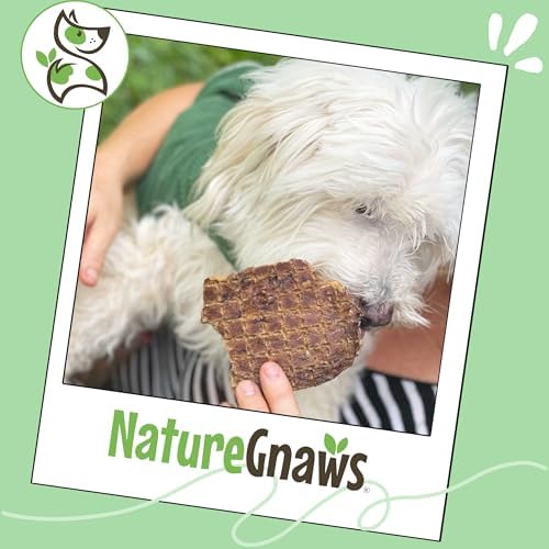 Nature Gnaws USA Beef Lung Filets for Dogs (8oz) - Single Ingredient Natural Dog Chew Treats – Made in USA - Rawhide Free