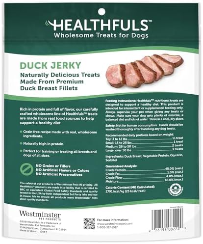 HEALTHFULS Real Duck Jerky Fillets, Grain-Free, Healthy Dog Treats, 16 oz